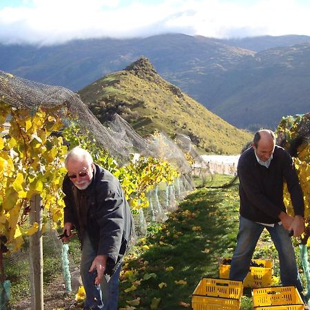 Mt Rosa Lodge Boutique Vineyard Accommodation Wanaka Luaran gambar