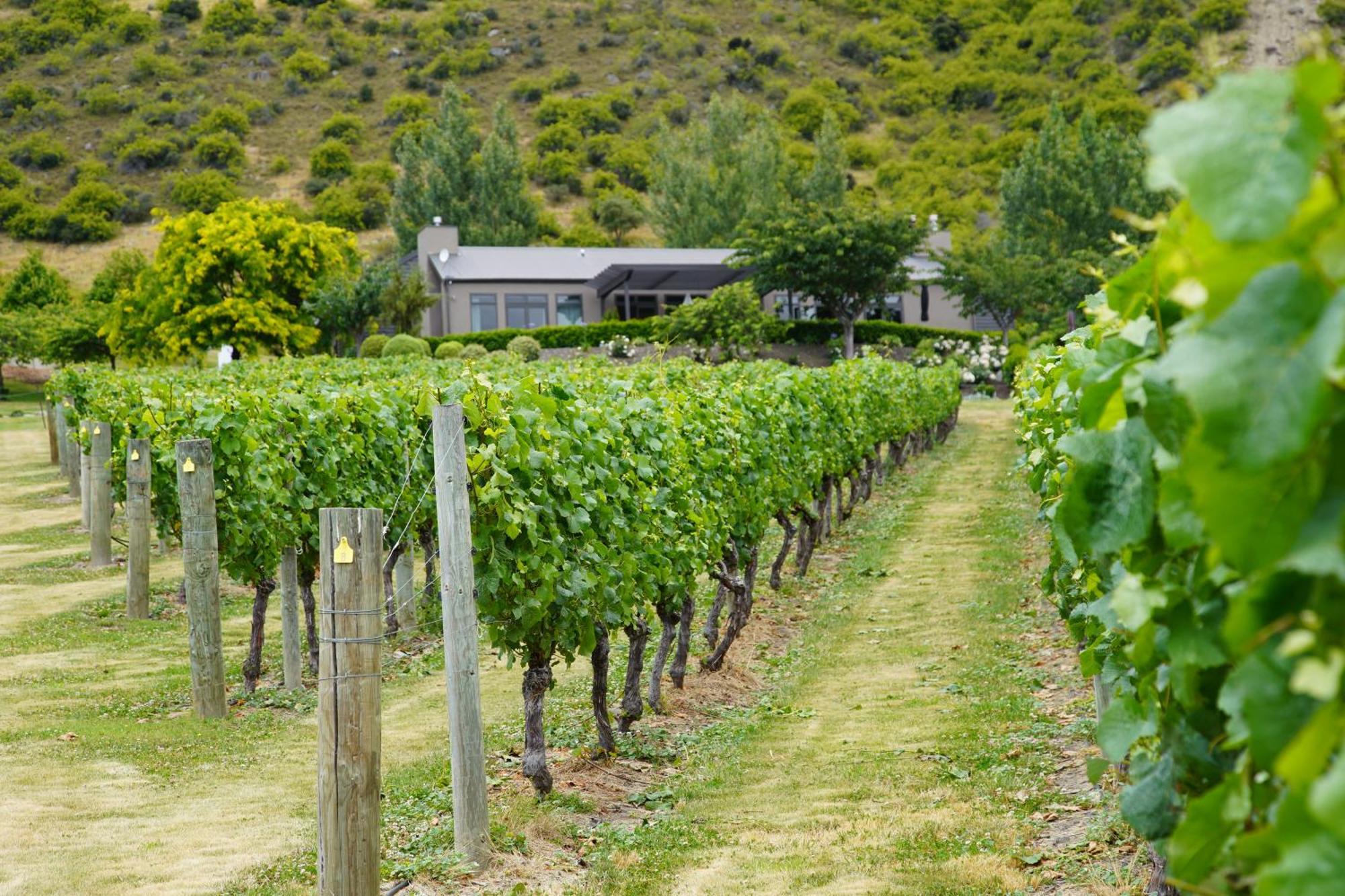 Mt Rosa Lodge Boutique Vineyard Accommodation Wanaka Luaran gambar
