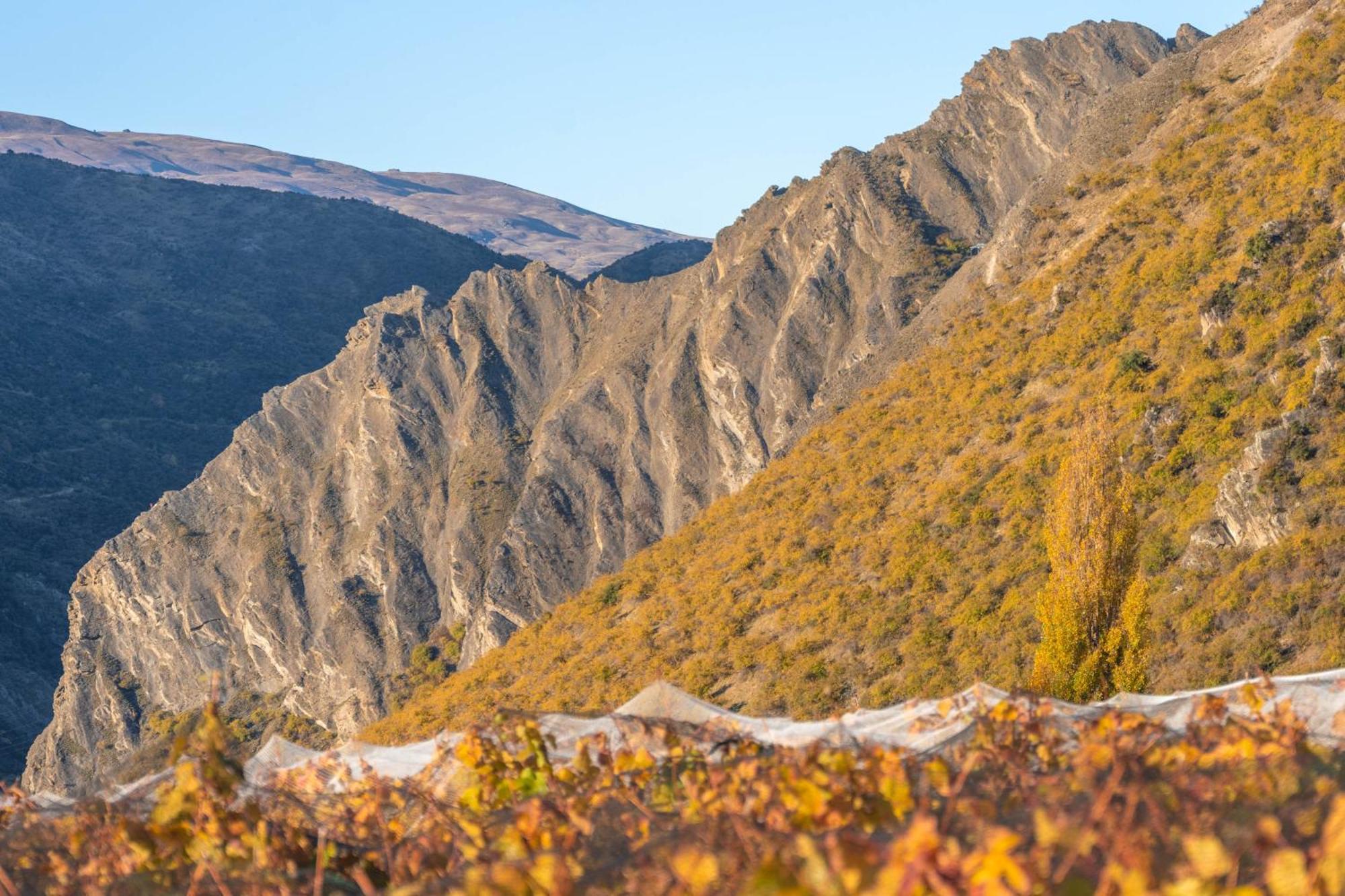 Mt Rosa Lodge Boutique Vineyard Accommodation Wanaka Luaran gambar