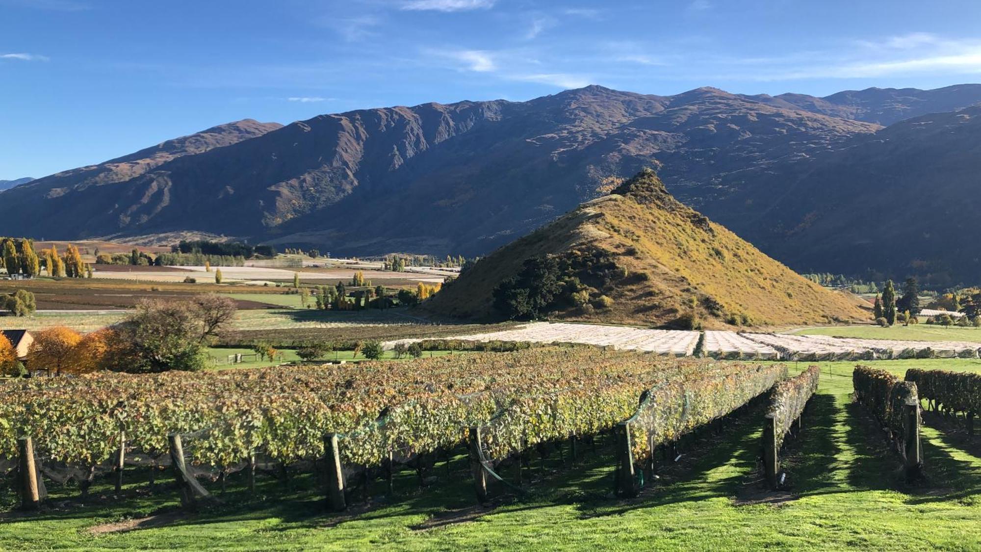 Mt Rosa Lodge Boutique Vineyard Accommodation Wanaka Luaran gambar