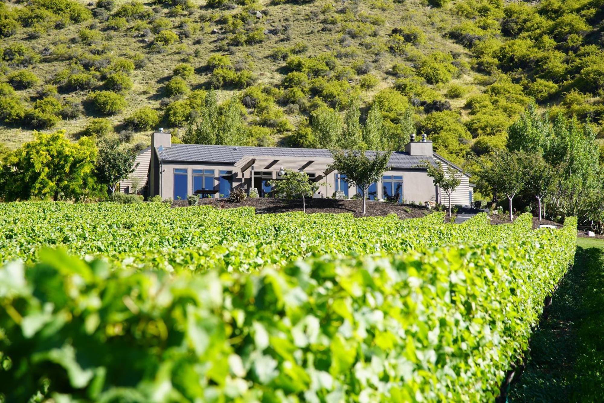 Mt Rosa Lodge Boutique Vineyard Accommodation Wanaka Luaran gambar