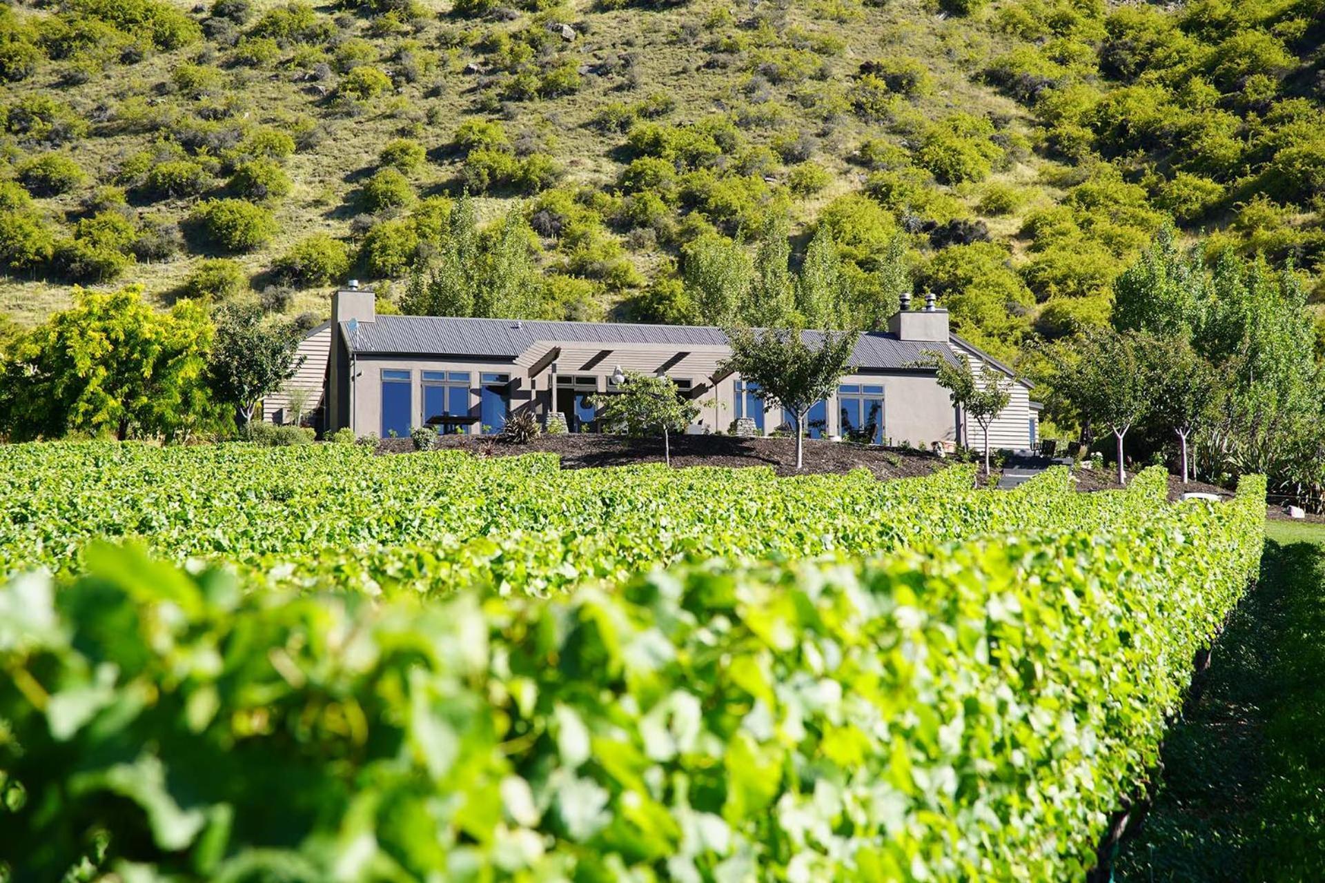Mt Rosa Lodge Boutique Vineyard Accommodation Wanaka Luaran gambar