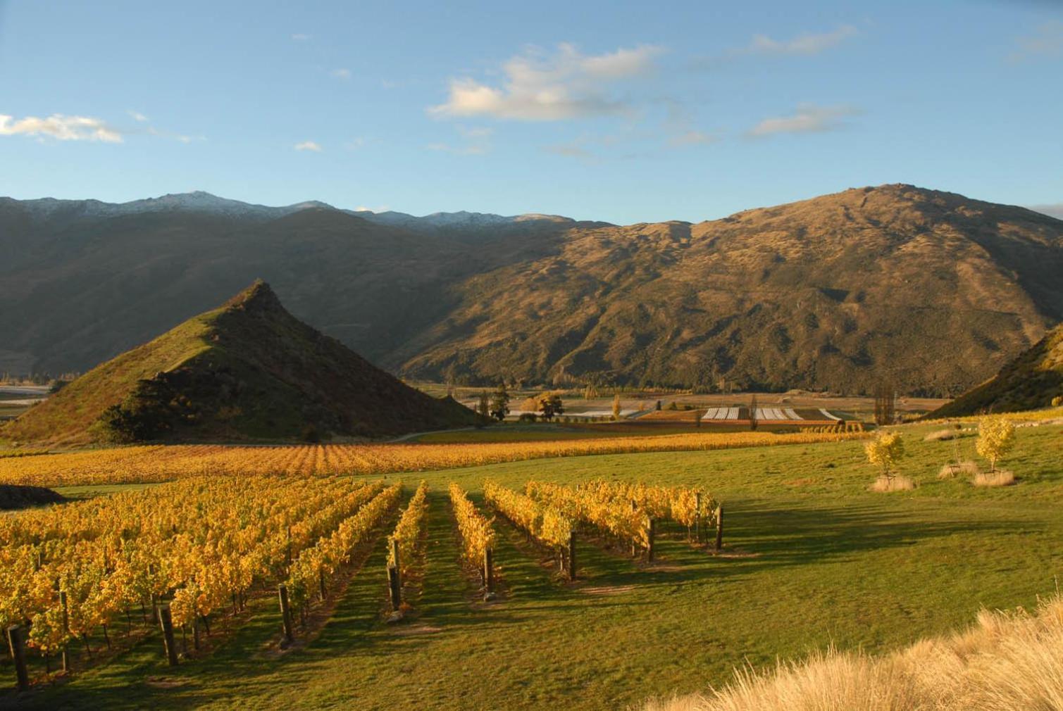 Mt Rosa Lodge Boutique Vineyard Accommodation Wanaka Luaran gambar