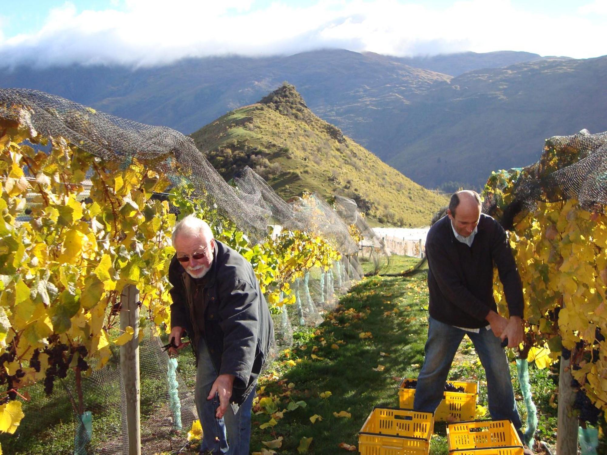 Mt Rosa Lodge Boutique Vineyard Accommodation Wanaka Luaran gambar