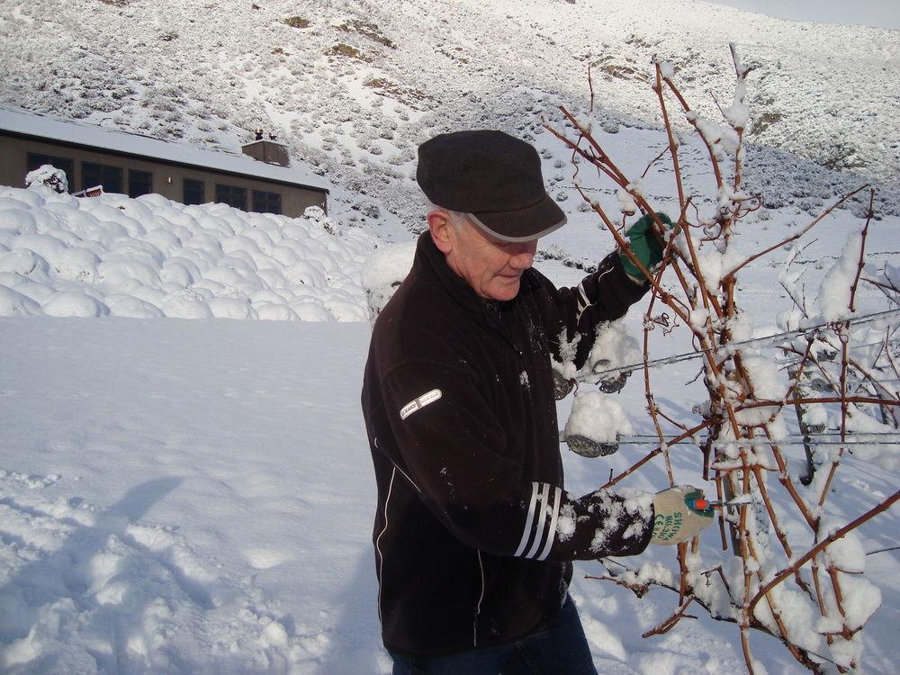 Mt Rosa Lodge Boutique Vineyard Accommodation Wanaka Luaran gambar