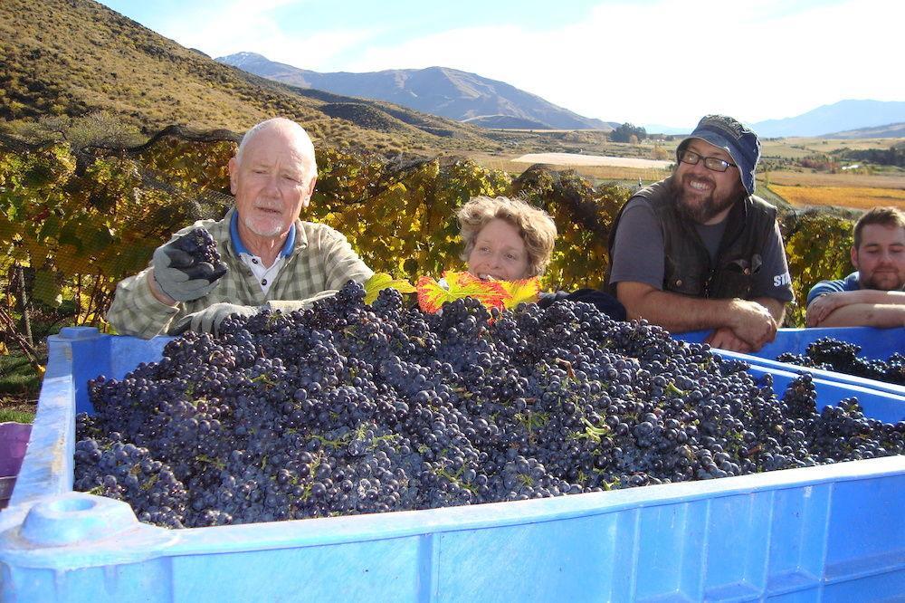 Mt Rosa Lodge Boutique Vineyard Accommodation Wanaka Luaran gambar