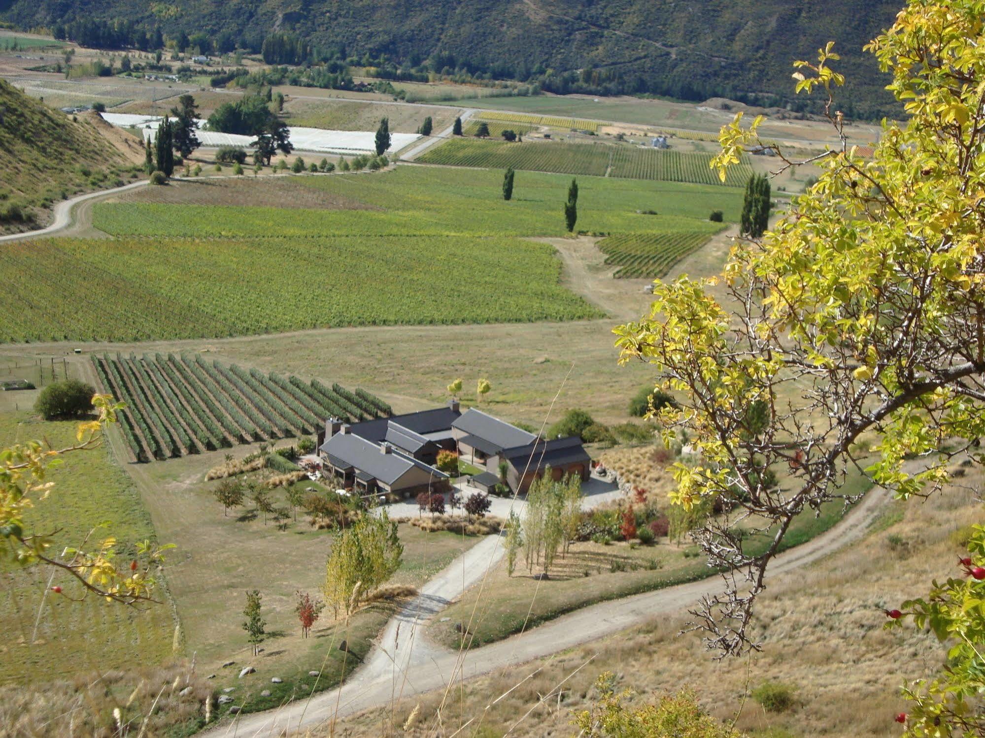 Mt Rosa Lodge Boutique Vineyard Accommodation Wanaka Luaran gambar