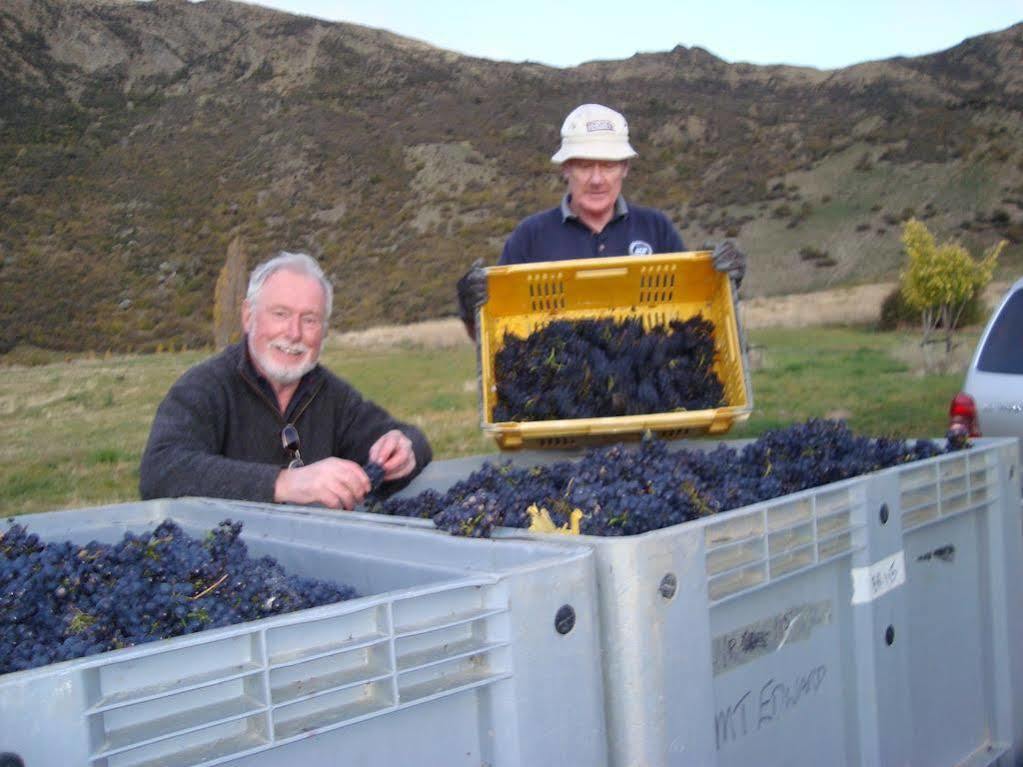 Mt Rosa Lodge Boutique Vineyard Accommodation Wanaka Luaran gambar